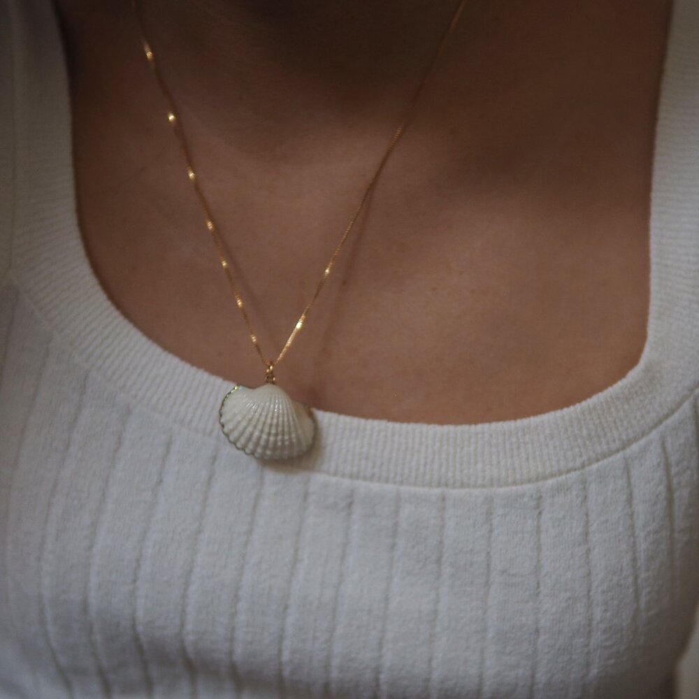 Seashell Pendant Necklace